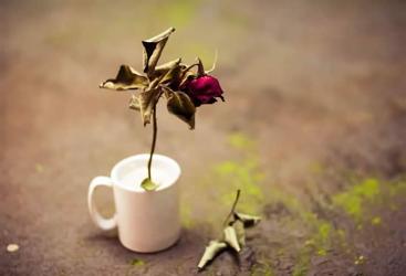 香港人在香港死亡，內(nèi)地子女怎么辦理親屬關(guān)系證明用于公證處辦理財(cái)產(chǎn)繼承手續(xù)？