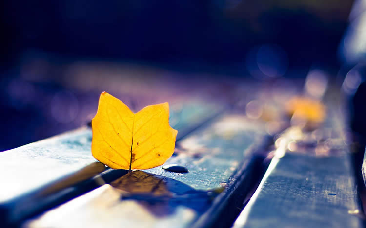 多位香港人士要如何辦理放棄繼承死者享有在內(nèi)地的遺產(chǎn)呢？