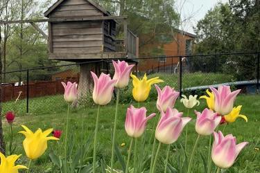 要繼承香港人在內(nèi)地的遺產(chǎn)怎么辦理親屬關系及遺囑狀況聲明書轉(zhuǎn)遞公證呢？ 