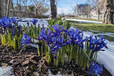 中國(guó)公民是在荷蘭結(jié)婚的現(xiàn)要離婚怎么辦理公證及海牙認(rèn)證手續(xù)呢？