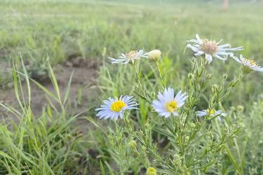 只有很久之前的出生公證書的香港人怎么辦理出生公證認(rèn)證用于在香港繼承父母遺產(chǎn)呢？ 