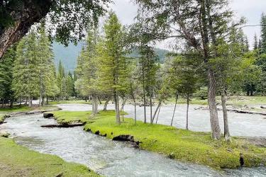 內(nèi)地居民取得香港永居身份后，如何合法有效處理內(nèi)地的資產(chǎn)呢？