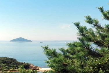 堂侄子要繼承香港姑媽去世后的內(nèi)地遺產(chǎn)怎么做親屬關(guān)系及遺囑狀況聲明書公證呢？